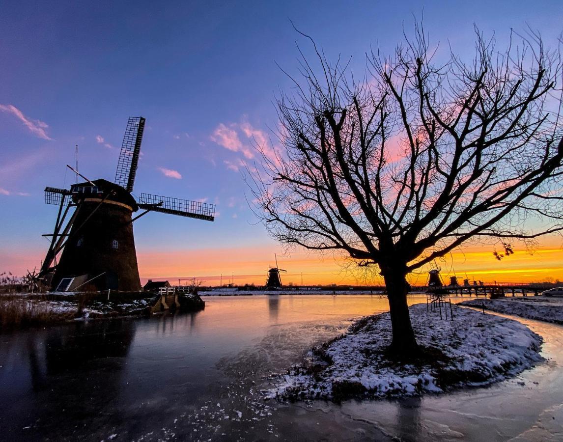 Guesthouse Rotterdam, Tinyhouse Nearby Kralingen Zewnętrze zdjęcie